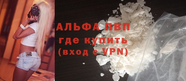 ECSTASY Горняк