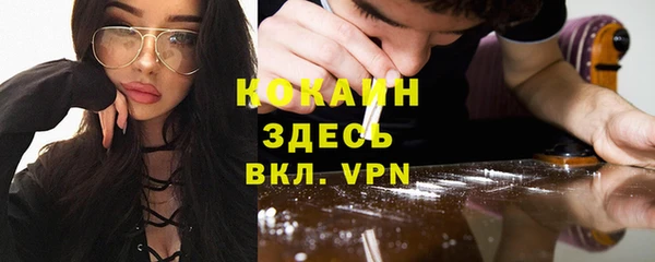 ECSTASY Горняк