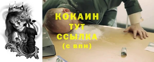 ECSTASY Горняк
