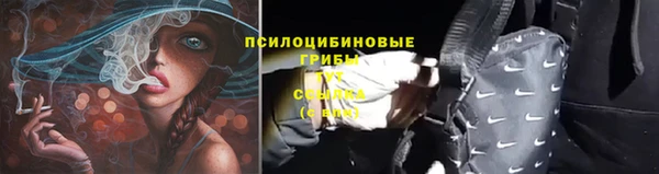 гашик Лиски
