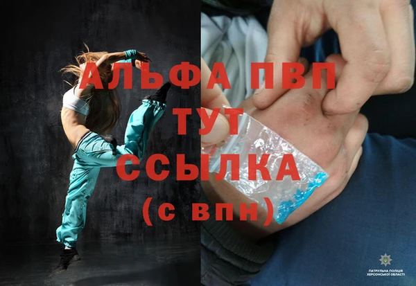 ECSTASY Горняк