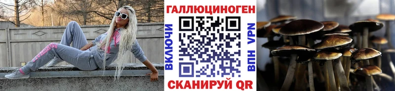 закладки  Нея  МЕГА маркетплейс  Галлюциногенные грибы Psilocybine cubensis 